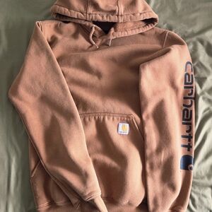 Carhartt Men's Pullover Hoodie in Carhatt Brown